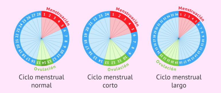 La guía definitiva para encontrar la mejor app para el ciclo menstrual